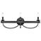 Williamson 24" Wide 3-Light Vanity Light - Black