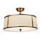 Williamsport Collection 20" Wide Ceiling Light Fixture