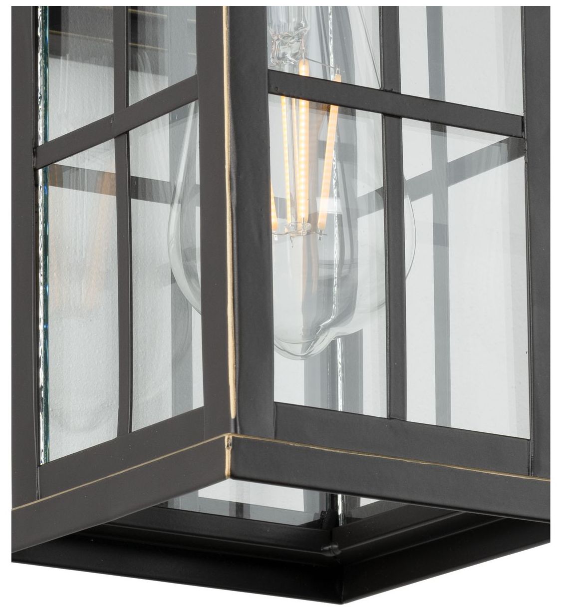 Williamston Collection One-Light Clear Glass Medium Outdoor Wall Lantern