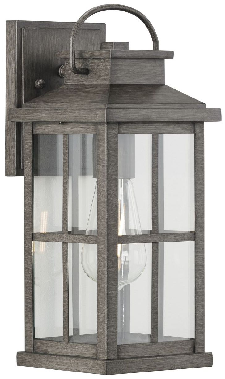 Williamston Collection One-Light Clear Glass Medium Outdoor Wall Lantern