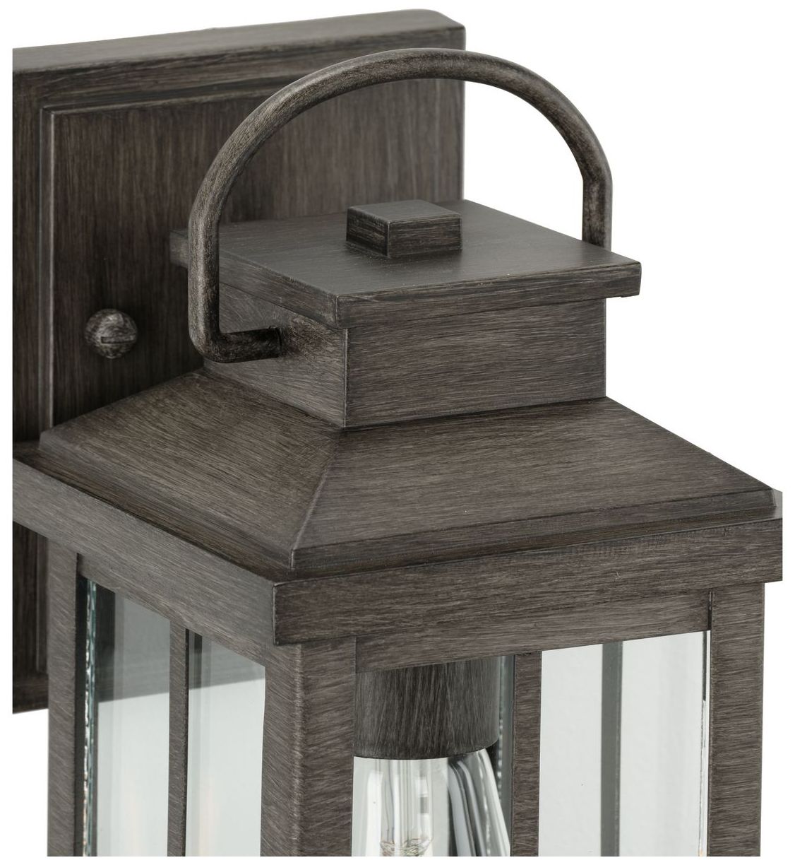 Williamston Collection One-Light Clear Glass Medium Outdoor Wall Lantern