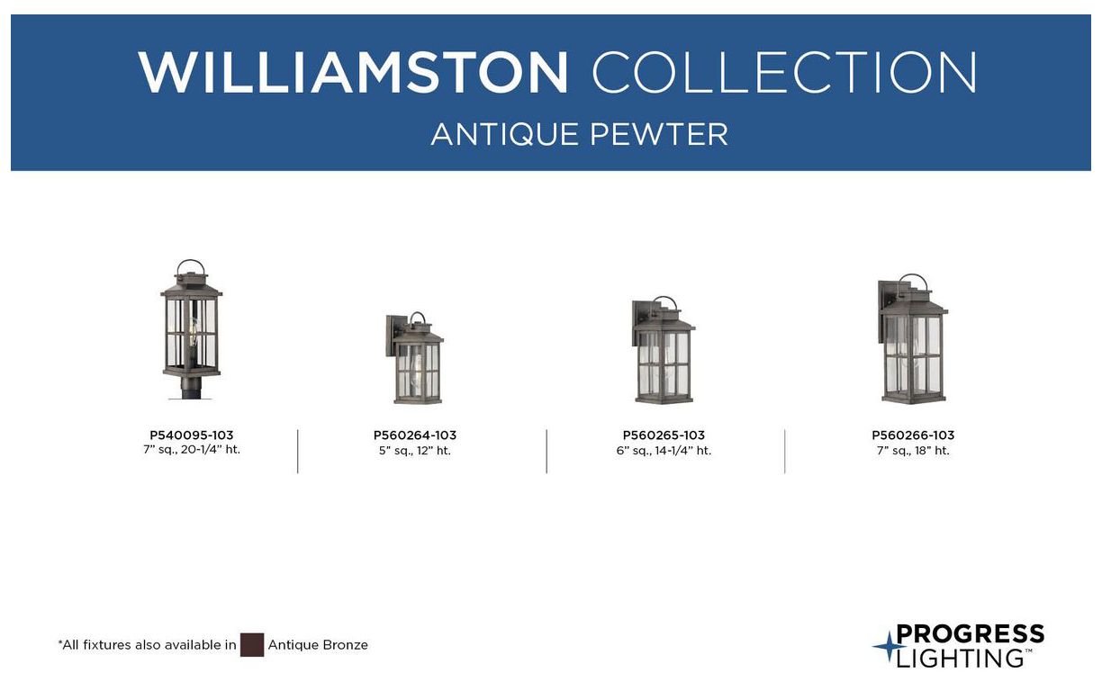 Williamston Collection One-Light Clear Glass Outdoor Post Lantern