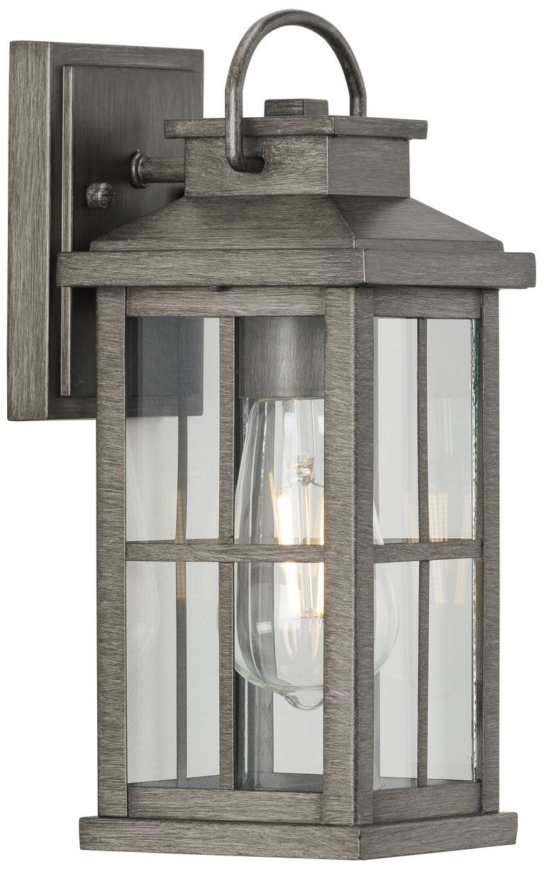 Williamston Collection One-Light Clear Glass Small Outdoor Wall Lantern