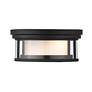 6_Willow 12" Wide Matte Black Ceiling Light more views