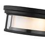 Willow 12" Wide Matte Black Ceiling Light in scene