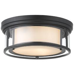 Willow 16" Wide Matte Black Ceiling Light