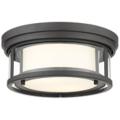 Z-Lite Willow Bronze Collection
