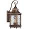 Wilshire Park 18 1/2" High Bronze Outdoor Wall Light