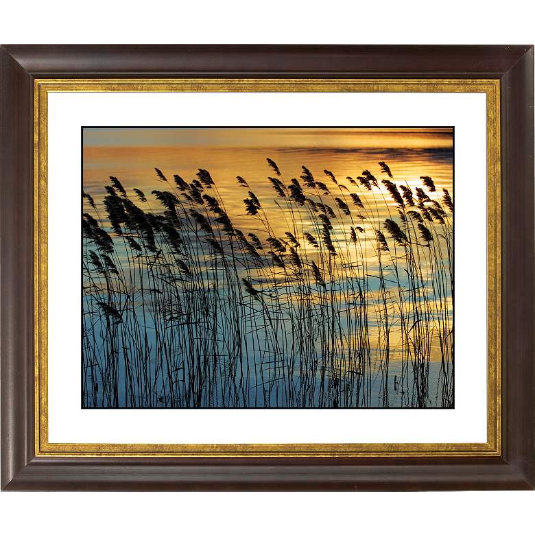 Image 1 Wind Gold Bronze Frame Giclee 20 inch Wide Wall Art