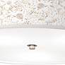 3_Windflowers Giclee Nickel 20 1/4" Wide Ceiling Light more views