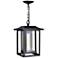 Winfield 1 Light Black Outdoor Hanging Light