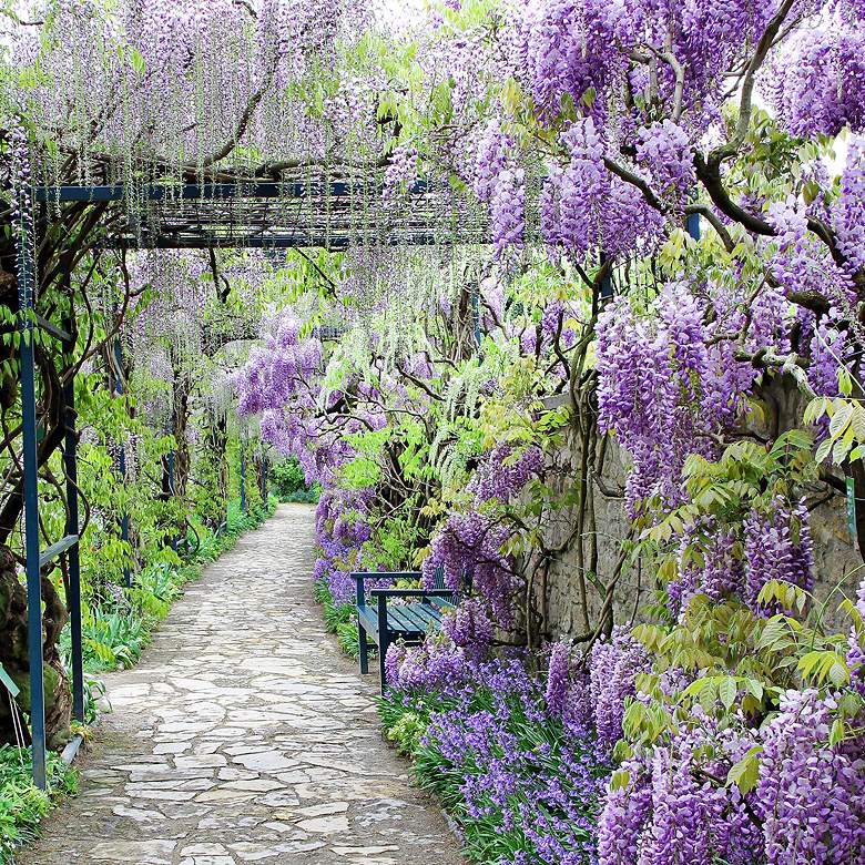 Image 2 Wisteria Path 40 inch Wide All-Season Outdoor Canvas Wall Art more views