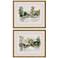 Wooded Stream 24"W x 20"H Traditional Framed Art Set of 2