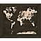 World Map 23 1/2" Silkscreen Art