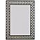 Woven Champagne 28" x 38" Wall Mirror