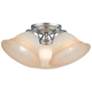 2_Wynnewood 3 Light Painted Satin Nickel Flush Mount