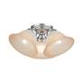 3_Wynnewood 3 Light Painted Satin Nickel Flush Mount more views