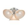 5_Wynnewood 3 Light Painted Satin Nickel Flush Mount more views