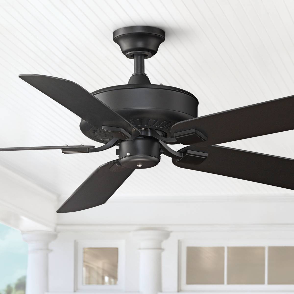 Fanimation Ceiling Fans Lamps Plus