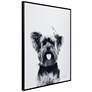5_Yorkshire Terrier 24"x18" Printed Glass Framed Wall Art more views
