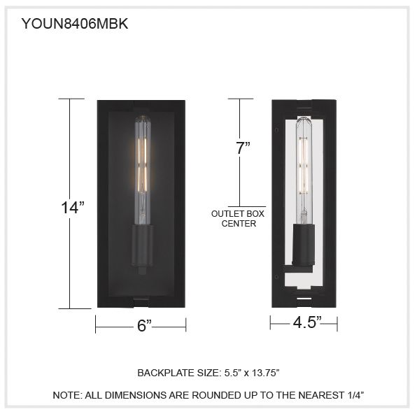 Young 1-Light Matte Black Outdoor Wall Lantern