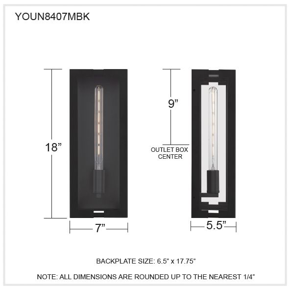 Young 1-Light Matte Black Outdoor Wall Lantern