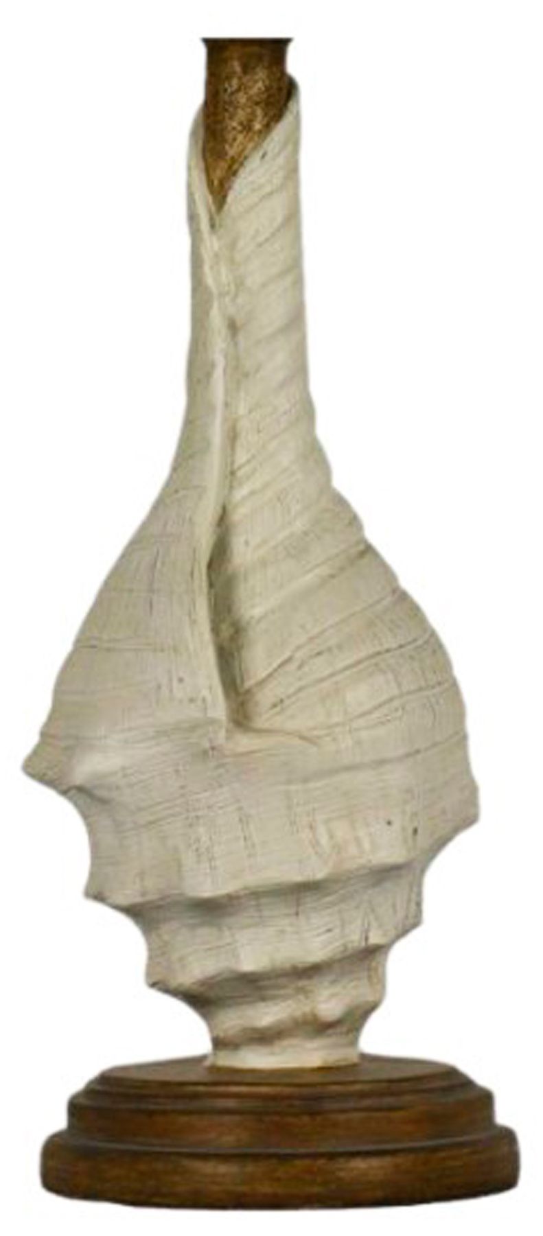 Image 2 Ysidro Brown and White Conch Shell Table Lamps Set of 2 more views