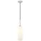 Z-Lite 1 Light Pendant in Brushed Nickel Finish