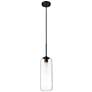 Z-Lite 1 Light Pendant in Matte Black Finish
