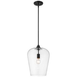 Z-Lite 1 Light Pendant in Matte Black Finish