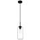 Z-Lite 1 Light Pendant in Matte Black Finish