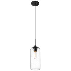 Z-Lite 1 Light Pendant in Matte Black Finish