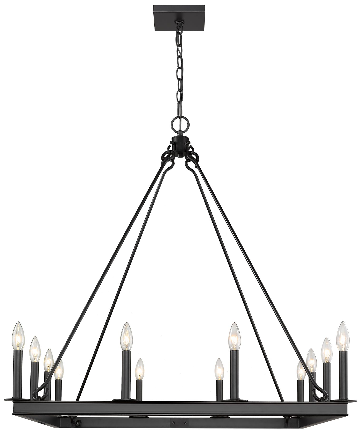 Image 2 Z-Lite 12 Light Chandelier in Matte Black Finish more views