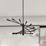 Thumbnail1 of Z-Lite 16 Light Chandelier in Matte Black Finish