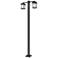 Z-Lite 2 Light Outdoor Post Mounted Fixture in Oil Rubbed Bronze Finish