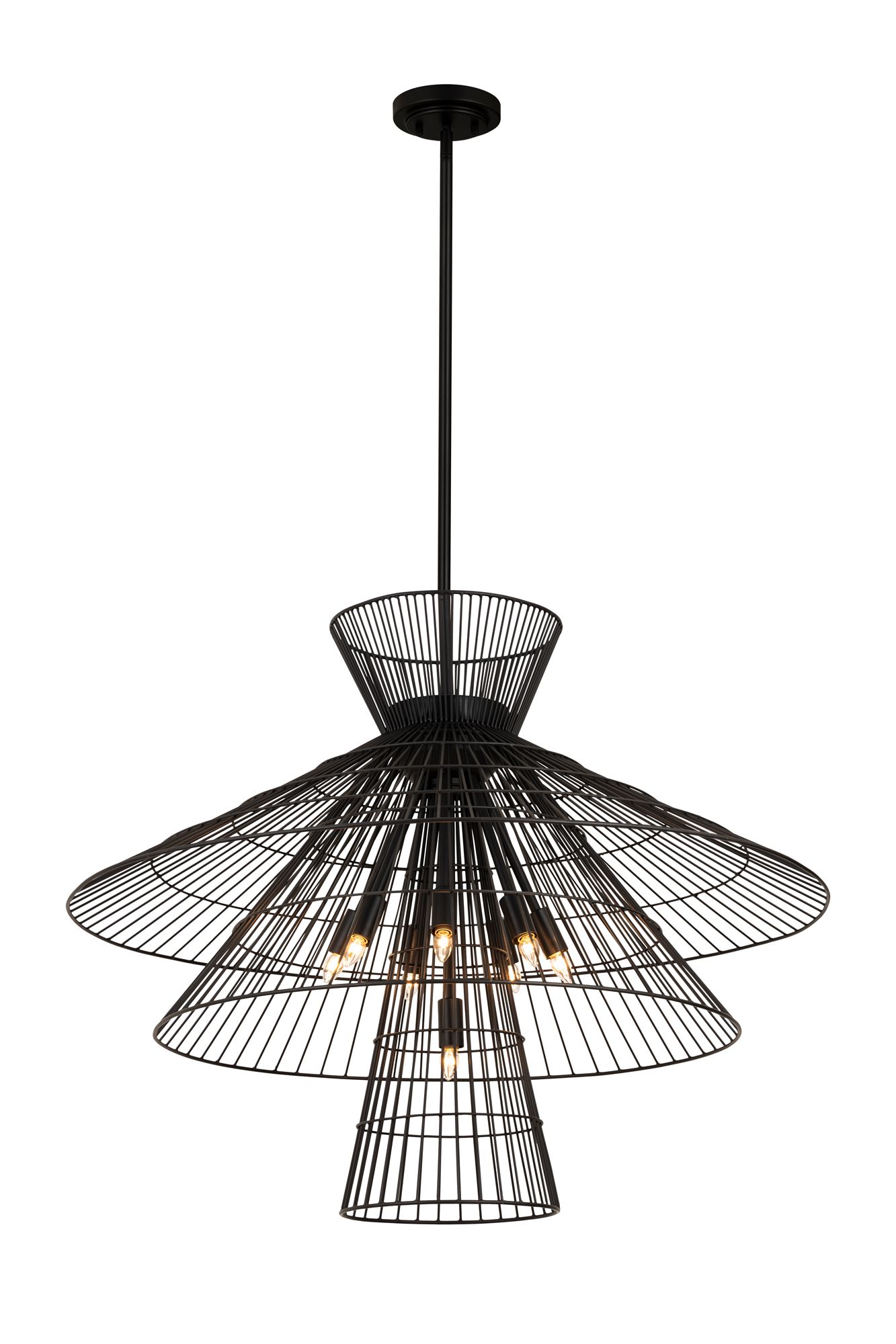 Image 4 Z-Lite 8 Light Chandelier in Matte Black Finish more views