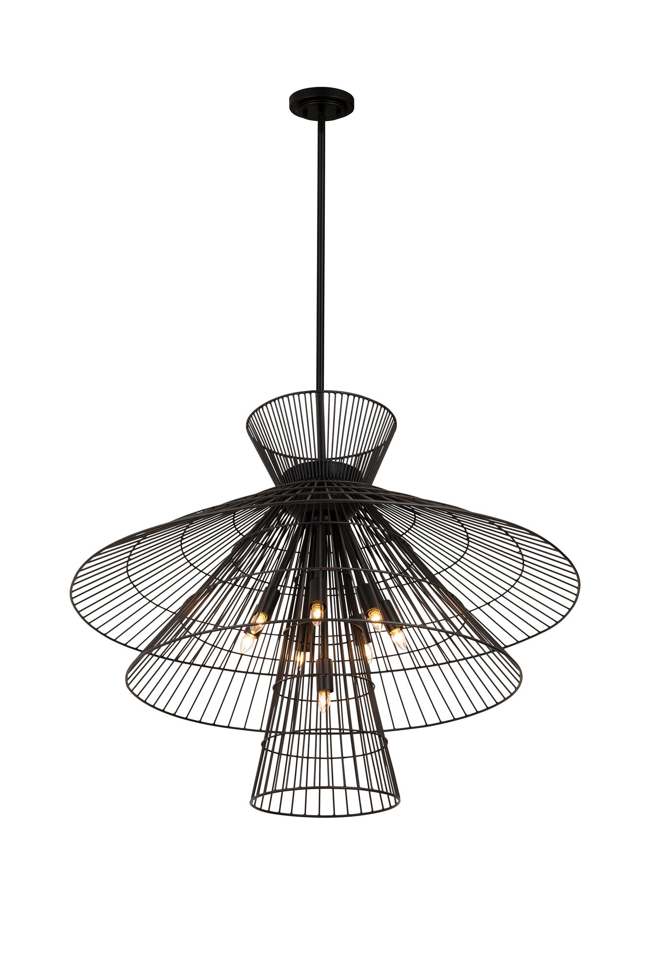 Image 5 Z-Lite 8 Light Chandelier in Matte Black Finish more views