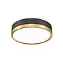 7_Z-Lite Algar 12" Wide Matte Black and Modern Gold LED Ceiling Light more views