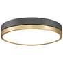 3_Z-Lite Algar 16" Wide Matte Black and Modern Gold LED Ceiling Light