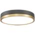 Z-Lite Algar 16" Wide Matte Black and Modern Gold LED Ceiling Light
