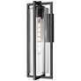 2_Z-Lite Aura 22 1/4" High Black Outdoor Wall Light