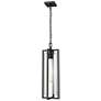 2_Z-Lite Aura 25" High Black Outdoor Hanging Light