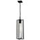 Z-Lite Aura 25" High Black Outdoor Hanging Light
