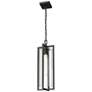 5_Z-Lite Aura 25" High Black Outdoor Hanging Light more views