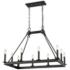 Z-Lite Barclay 34"W Matte Black 10-Light Linear Chandelier