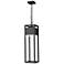 Z-Lite Barwick 26 3/4" High Black LED Outdoor Hanging Light