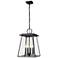 Z-Lite Broughton 19 1/2" High Black Outdoor Hanging Light