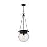 6_Z-Lite Calhoun 13" Wide Matte Black Globe Pendant Light more views