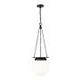 5_Z-Lite Calhoun 13" Wide Matte Black Pendant Light more views