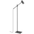 Z-Lite Calumet Black Collection
